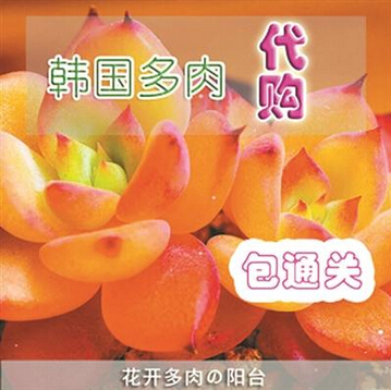 QQ截图20150508092055 QQ截图20150508092055