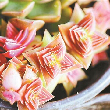 QQ截图20150508092101 QQ截图20150508092101