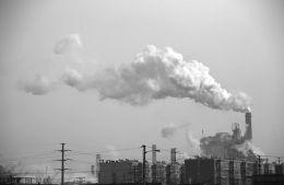 3079416254 3079416254