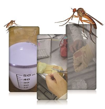 67385D50A4C16D03601992FE6CCB6B80 67385D50A4C16D03601992FE6CCB6B80