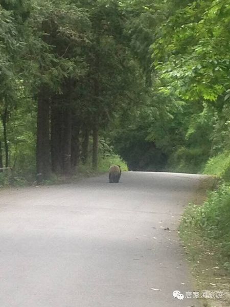 20310260b9c81c0 20310260b9c81c0