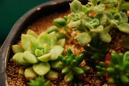 10386801764472851840 10386801764472851840