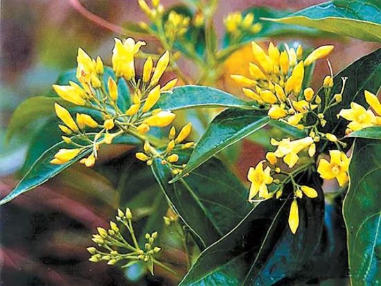 U12054P434DT20150511164423 U12054P434DT20150511164423