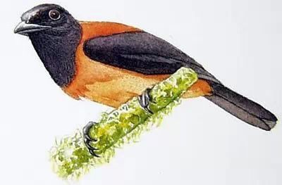 U12054P434DT20150511164506 U12054P434DT20150511164506