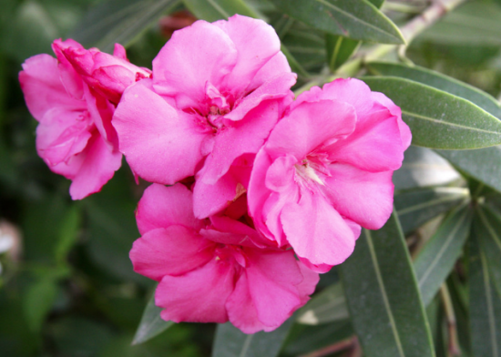 U12054P434DT20150511164524 U12054P434DT20150511164524