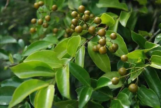 U12054P434DT20150511164555 U12054P434DT20150511164555