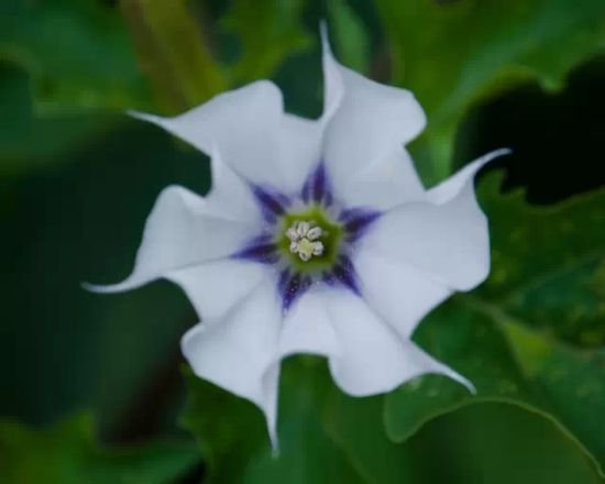 U12054P434DT20150511164621 U12054P434DT20150511164621