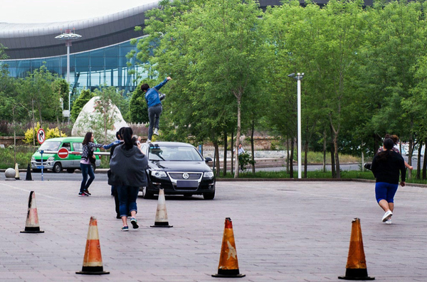 棒打小狗男子遭“人肉”-向爱狗人士鞠躬道歉赔万元3 棒打小狗男子遭“人肉”-向爱狗人士鞠躬道歉赔万元3