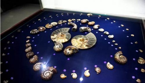 1431501195245 1431501195245