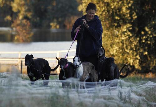 当蛛网一片片落地，遍布整片田野和林地，这种所谓的“天使发丝”现象便诞生了，由于蜘蛛走过的地方总会留下一条丝，如果它们用其他蜘蛛的丝，就会把自己的丝附在上面，最终就会形成很粗的“丝路”。
