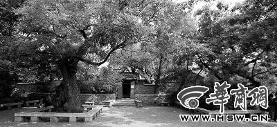 纪念馆门前 华商报特派北京记者 吴成贵 摄 纪念馆门前 华商报特派北京记者 吴成贵 摄