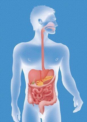 U12054P434DT20150522111221 U12054P434DT20150522111221