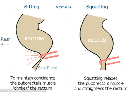 U12054P434DT20150522111232 U12054P434DT20150522111232