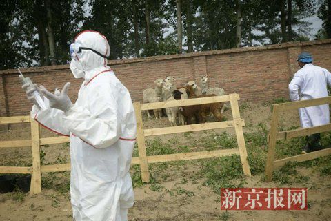 B217808CDAADA7F2EB8995B3C6A64BD3 B217808CDAADA7F2EB8995B3C6A64BD3