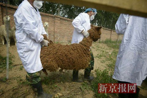 56C0E1177A14BA241E13B8A479E3AC80 56C0E1177A14BA241E13B8A479E3AC80