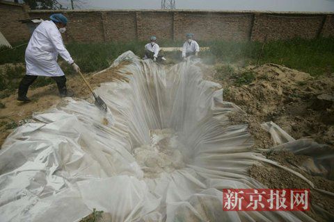 06404E3BE8727B14E5980430E770570E 06404E3BE8727B14E5980430E770570E