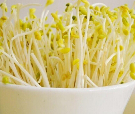 b8975a0fdf7a16b405d006 b8975a0fdf7a16b405d006