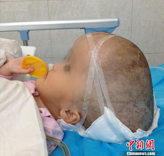 16989510015872609862 16989510015872609862