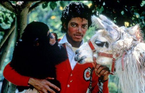 杰克逊于1987年斥资1950万美元买下这座庄园，然后利用其抵押贷款2450万美元，最终因违约失去所有权。