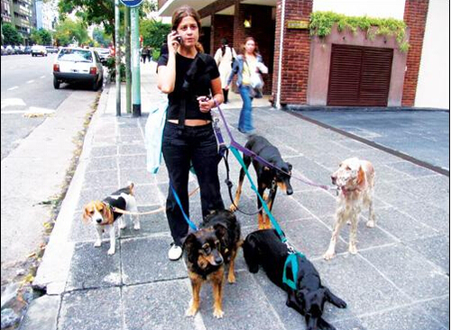 QQ截图20150602112245 QQ截图20150602112245