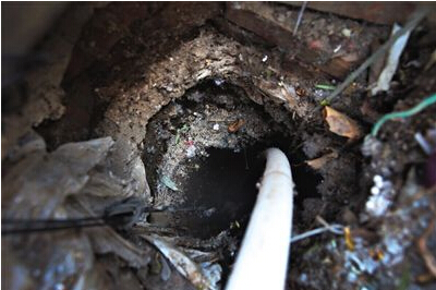 QQ截图20150602141203 QQ截图20150602141203