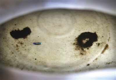 QQ截图20150602141218 QQ截图20150602141218