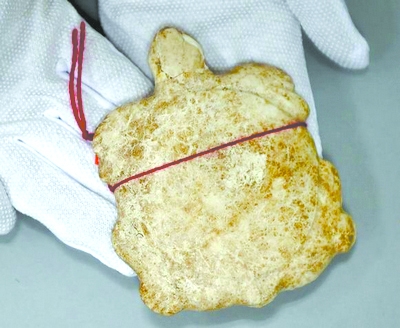 缴获的玉龟 缴获的玉龟