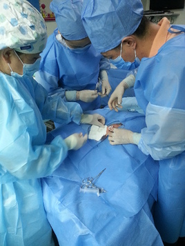 127875101_14333227524201n 127875101_14333227524201n