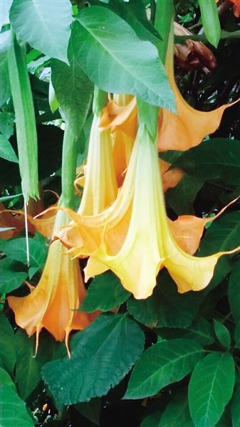 1452402598667552299 1452402598667552299