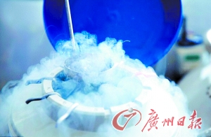 12512080420223618113 12512080420223618113