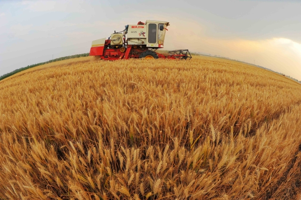 933586_xxjpsgc000468_20150613_tppfn1a001_600_450 933586_xxjpsgc000468_20150613_tppfn1a001_600_450