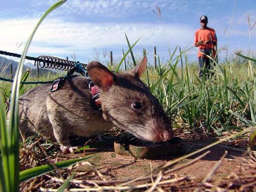 12642545130219178290 12642545130219178290