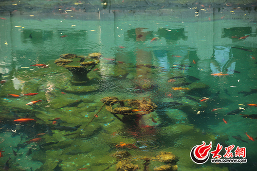 1115604639_14341575983851n 1115604639_14341575983851n