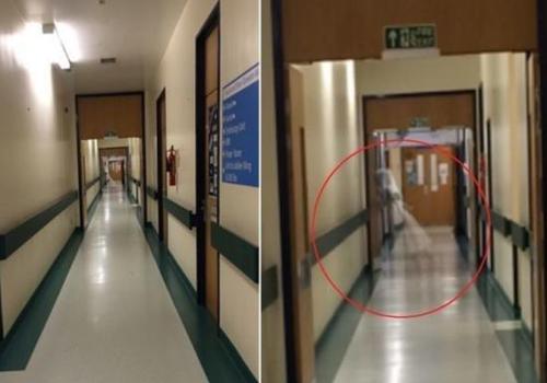 W020150615593360534133 W020150615593360534133