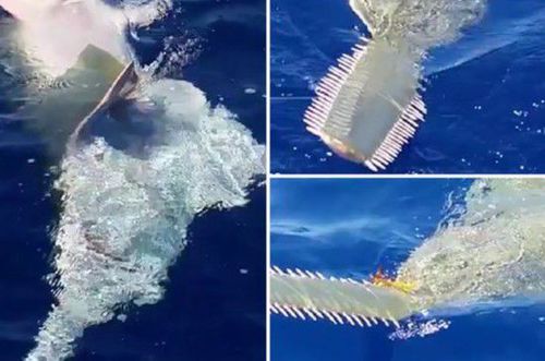 2A420D5ECFBA400DF7FFE4208B647E5D 2A420D5ECFBA400DF7FFE4208B647E5D