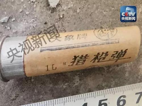 犯罪嫌疑人行凶使用的“大象牌”猎枪弹。