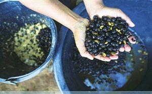 20150616161326ac139 20150616161326ac139