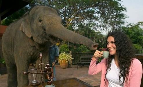 201506161704385b5f1 201506161704385b5f1