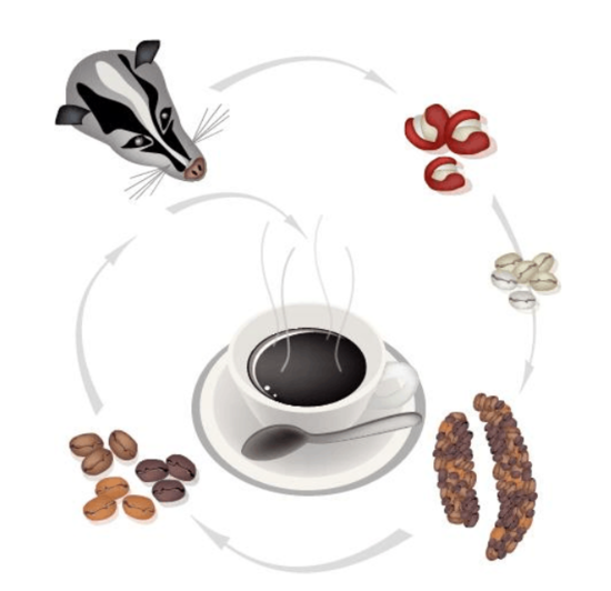 20150616163218c4e96_550 20150616163218c4e96_550