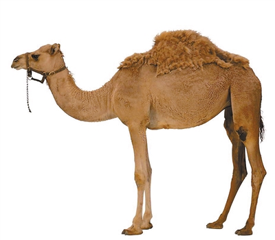 127927492_14345832168981n 127927492_14345832168981n