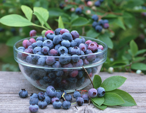 20150617180346ced39 20150617180346ced39