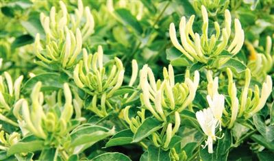 E106A5D1107F29D8543AAB8F08912552 E106A5D1107F29D8543AAB8F08912552