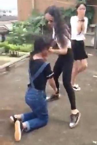 网传图片  网传图片