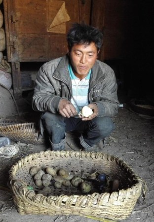 W020150624272221530033 W020150624272221530033