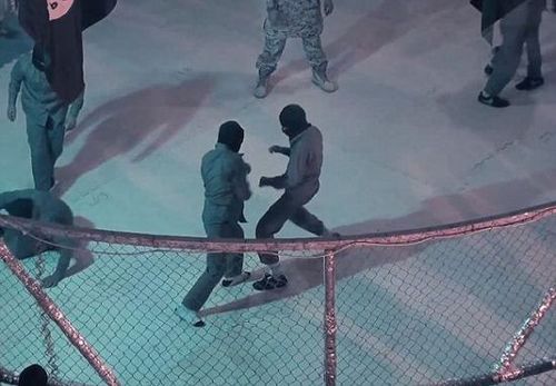 2933895684176890892 2933895684176890892