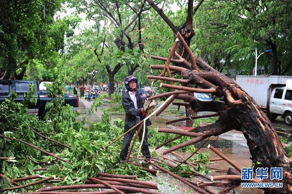 6月23日，在海南省三亚市，工作人员在街头清理被风吹倒的树木。今年第8号台风“鲸鱼”已于6月22日18时50分左右在海南省万宁市沿海登陆，台风给三亚带来了强风降雨天气，影响市民正常出行。新华社发（沙晓峰 摄）