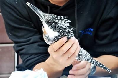 2805380290 2805380290