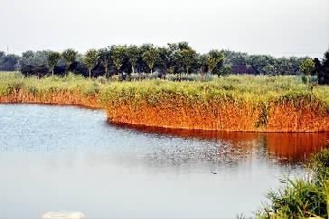 3099760932 3099760932