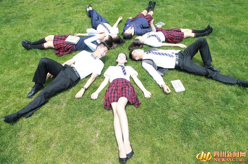 15128486562822165008 15128486562822165008