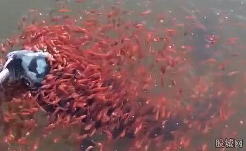 134360985_14353848941181n 134360985_14353848941181n